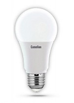 CAMELION