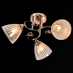 Люстра 01149-0.3-03 светильник потолочный